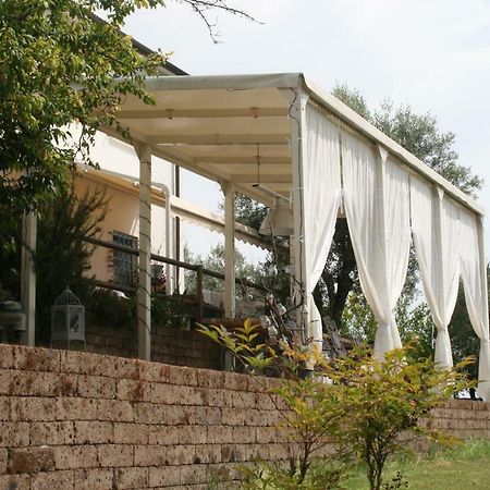 B&B La Casina Di Parrana Коллезальветті Екстер'єр фото